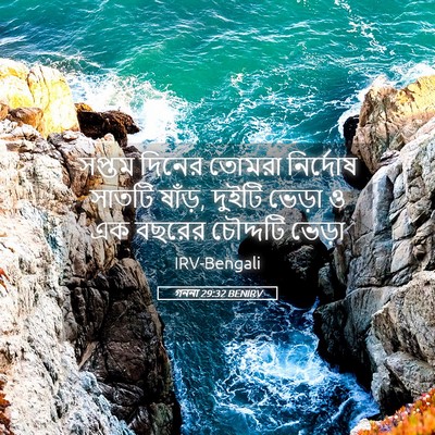 Picture 05 - গননা 29:32 BENIRV - সপ্তম দিনের তোমরা - Bible Verse Picture