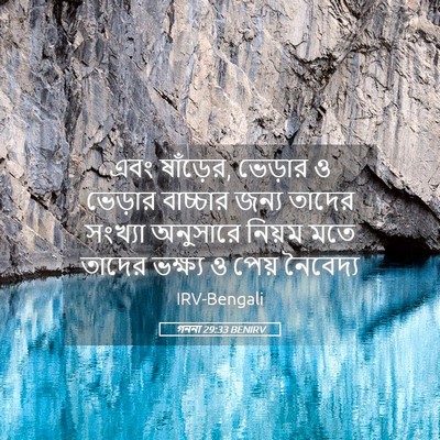 Picture 05 - গননা 29:33 BENIRV - এবং ষাঁড়ের, - Bible Verse Picture
