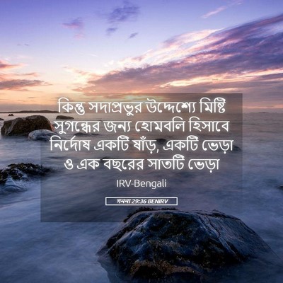 Picture 05 - গননা 29:36 BENIRV - কিন্তু সদাপ্রভুর - Bible Verse Picture