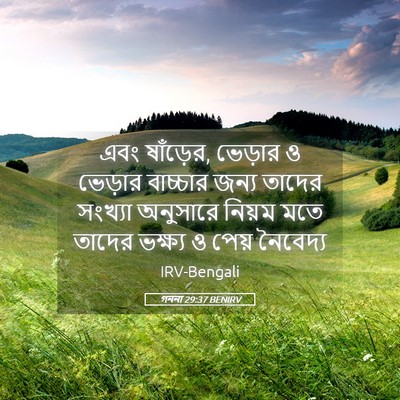 Picture 05 - গননা 29:37 BENIRV - এবং ষাঁড়ের, - Bible Verse Picture