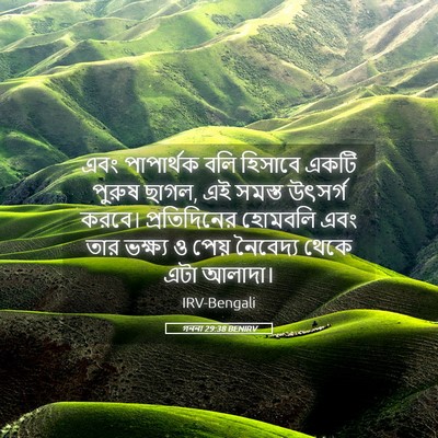 Picture 05 - গননা 29:38 BENIRV - এবং পাপার্থক বলি - Bible Verse Picture