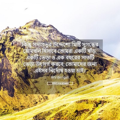 Picture 05 - গননা 29:8 BENIRV - কিন্তু সদাপ্রভুর - Bible Verse Picture