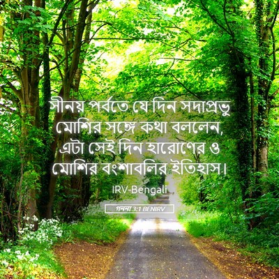Picture 05 - গননা 3:1 BENIRV - সীনয় পর্বতে যে - Bible Verse Picture
