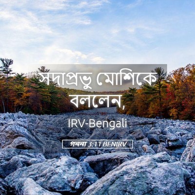 Picture 05 - গননা 3:11 BENIRV - সদাপ্রভু মোশিকে - Bible Verse Picture