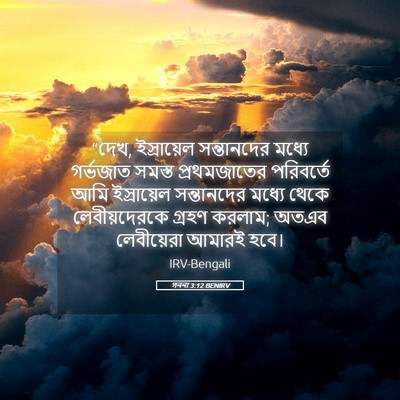Picture 05 - গননা 3:12 BENIRV - “দেখ, ইস্রায়েল - Bible Verse Picture