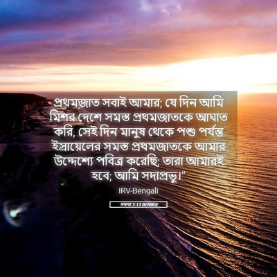 Picture 05 - গননা 3:13 BENIRV - প্রথমজাত সবাই - Bible Verse Picture
