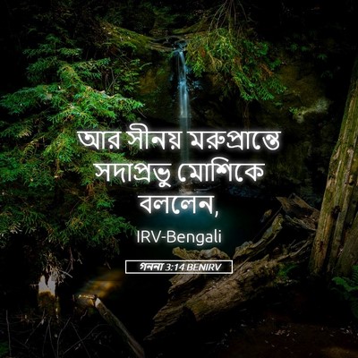 Picture 05 - গননা 3:14 BENIRV - আর সীনয় - Bible Verse Picture