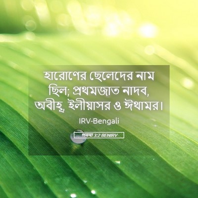 Picture 05 - গননা 3:2 BENIRV - হারোণের ছেলেদের - Bible Verse Picture