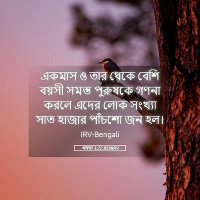 Picture 05 - গননা 3:22 BENIRV - একমাস ও তার থেকে - Bible Verse Picture