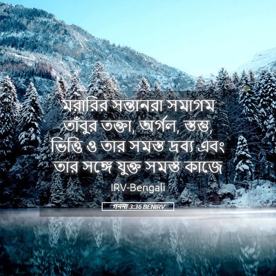 Picture 05 - গননা 3:36 BENIRV - মরারির সন্তানরা - Bible Verse Picture