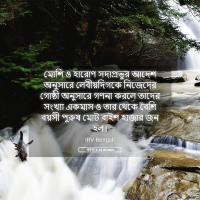 Picture 05 - গননা 3:39 BENIRV - মোশি ও হারোণ - Bible Verse Picture