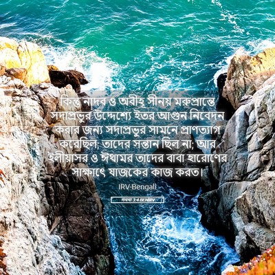 Picture 05 - গননা 3:4 BENIRV - কিন্তু নাদব ও - Bible Verse Picture