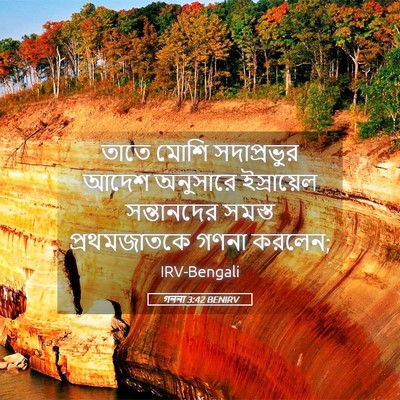 Picture 05 - গননা 3:42 BENIRV - তাতে মোশি - Bible Verse Picture