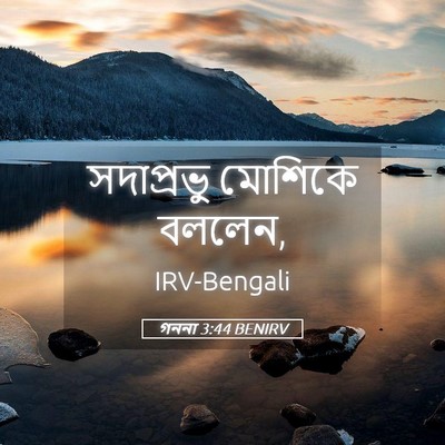 Picture 05 - গননা 3:44 BENIRV - সদাপ্রভু মোশিকে - Bible Verse Picture