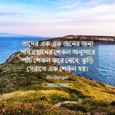Picture 05 - গননা 3:47 BENIRV - তাদের এক এক জনের - Bible Verse Picture
