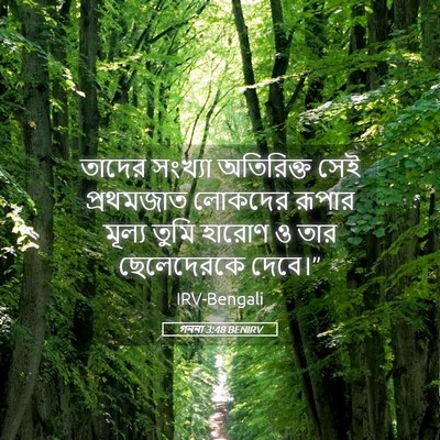 Picture 05 - গননা 3:48 BENIRV - তাদের সংখ্যা - Bible Verse Picture