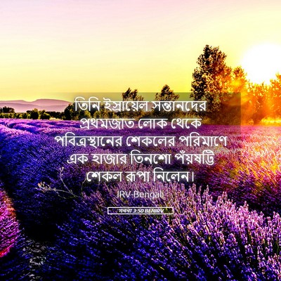 Picture 05 - গননা 3:50 BENIRV - তিনি ইস্রায়েল - Bible Verse Picture