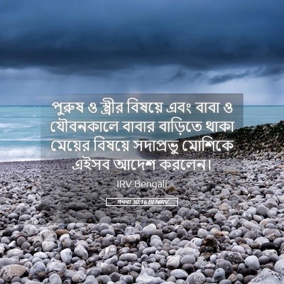 Picture 05 - গননা 30:16 BENIRV - পুরুষ ও স্ত্রীর - Bible Verse Picture