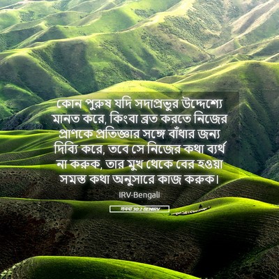 Picture 05 - গননা 30:2 BENIRV - কোন পুরুষ যদি - Bible Verse Picture