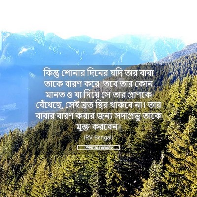 Picture 05 - গননা 30:5 BENIRV - কিন্তু শোনার - Bible Verse Picture