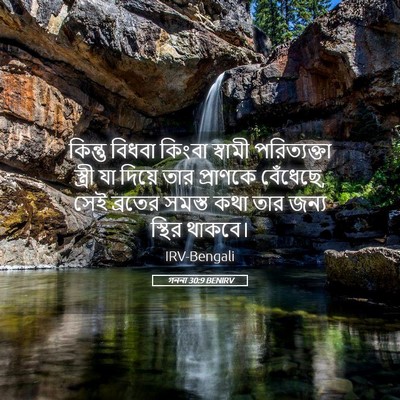 Picture 05 - গননা 30:9 BENIRV - কিন্তু বিধবা - Bible Verse Picture