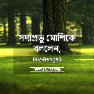 Picture 05 - গননা 31:1 BENIRV - সদাপ্রভু মোশিকে - Bible Verse Picture