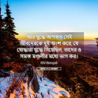 Picture 05 - গননা 31:27 BENIRV - আর যুদ্ধে অপহৃত - Bible Verse Picture