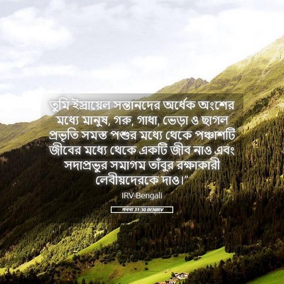 Picture 05 - গননা 31:30 BENIRV - তুমি ইস্রায়েল - Bible Verse Picture
