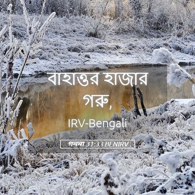 Picture 05 - গননা 31:33 BENIRV - বাহাত্তর হাজার - Bible Verse Picture