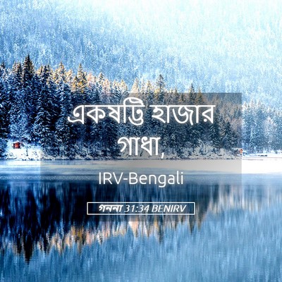 Picture 05 - গননা 31:34 BENIRV - একষট্টি হাজার - Bible Verse Picture