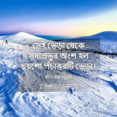Picture 05 - গননা 31:37 BENIRV - সেই ভেড়া থেকে - Bible Verse Picture