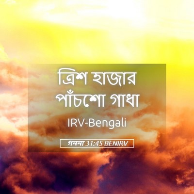 Picture 05 - গননা 31:45 BENIRV - ত্রিশ হাজার - Bible Verse Picture
