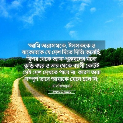 Picture 05 - গননা 32:11 BENIRV - ‘আমি অব্রাহামকে, - Bible Verse Picture