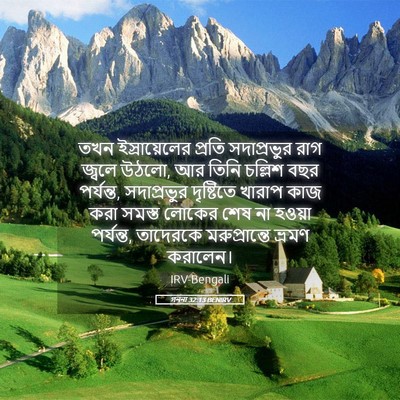 Picture 05 - গননা 32:13 BENIRV - তখন ইস্রায়েলের - Bible Verse Picture