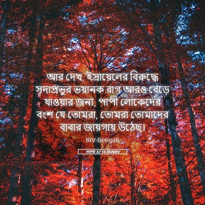 Picture 05 - গননা 32:14 BENIRV - আর দেখ, - Bible Verse Picture