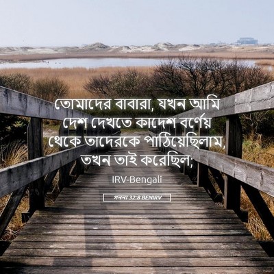 Picture 05 - গননা 32:8 BENIRV - তোমাদের বাবারা, - Bible Verse Picture