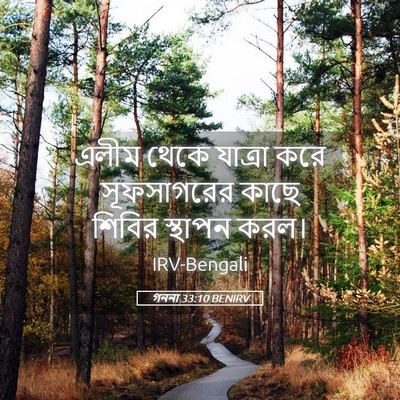 Picture 05 - গননা 33:10 BENIRV - এলীম থেকে যাত্রা - Bible Verse Picture