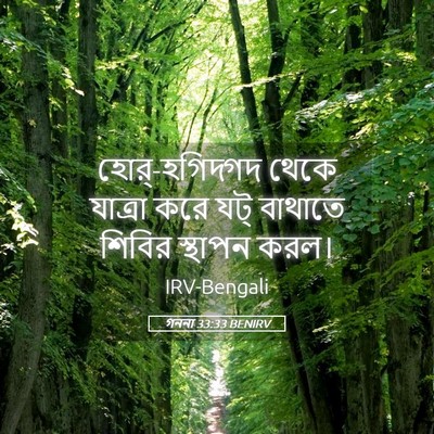 Picture 05 - গননা 33:33 BENIRV - হোর্-হগিদ্গদ থেকে - Bible Verse Picture