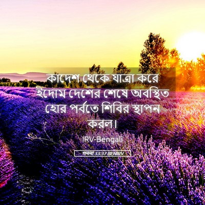 Picture 05 - গননা 33:37 BENIRV - কাদেশ থেকে যাত্রা - Bible Verse Picture