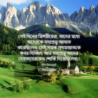 Picture 05 - গননা 33:4 BENIRV - সেই দিনের - Bible Verse Picture