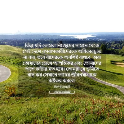 Picture 05 - গননা 33:55 BENIRV - কিন্তু যদি তোমরা - Bible Verse Picture