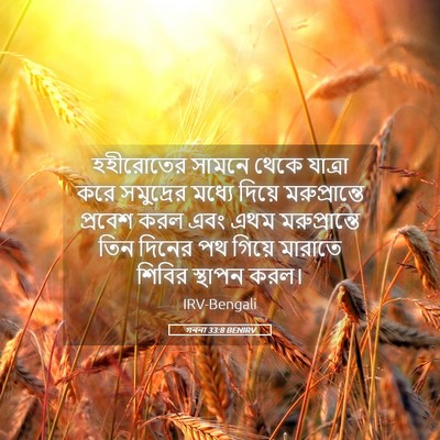 Picture 05 - গননা 33:8 BENIRV - হহীরোতের সামনে - Bible Verse Picture