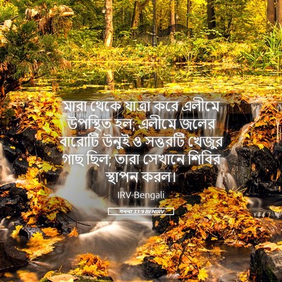 Picture 05 - গননা 33:9 BENIRV - মারা থেকে যাত্রা - Bible Verse Picture
