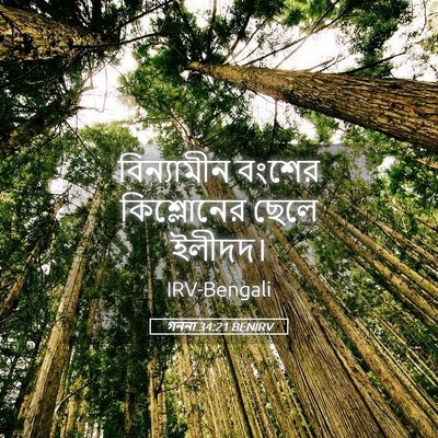 Picture 05 - গননা 34:21 BENIRV - বিন্যামীন বংশের - Bible Verse Picture