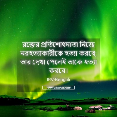 Picture 05 - গননা 35:19 BENIRV - রক্তের - Bible Verse Picture
