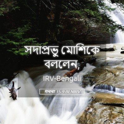 Picture 05 - গননা 35:9 BENIRV - সদাপ্রভু মোশিকে - Bible Verse Picture