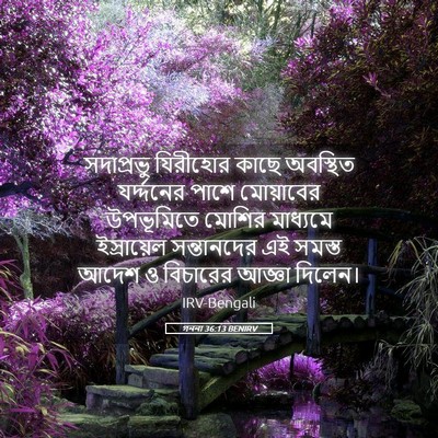 Picture 05 - গননা 36:13 BENIRV - সদাপ্রভু যিরীহোর - Bible Verse Picture
