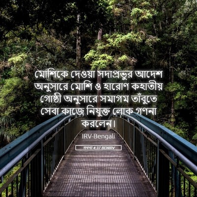 Picture 05 - গননা 4:37 BENIRV - মোশিকে দেওয়া - Bible Verse Picture