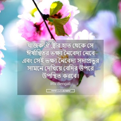Picture 05 - গননা 5:25 BENIRV - যাজক ঐ স্ত্রীর হাত - Bible Verse Picture