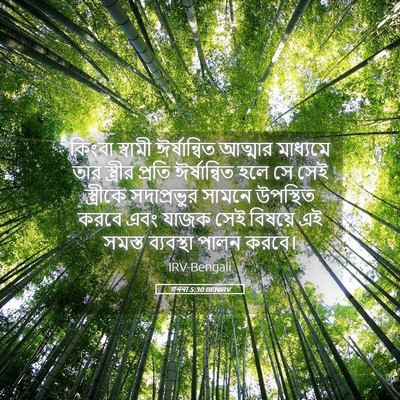 Picture 05 - গননা 5:30 BENIRV - কিংবা স্বামী - Bible Verse Picture